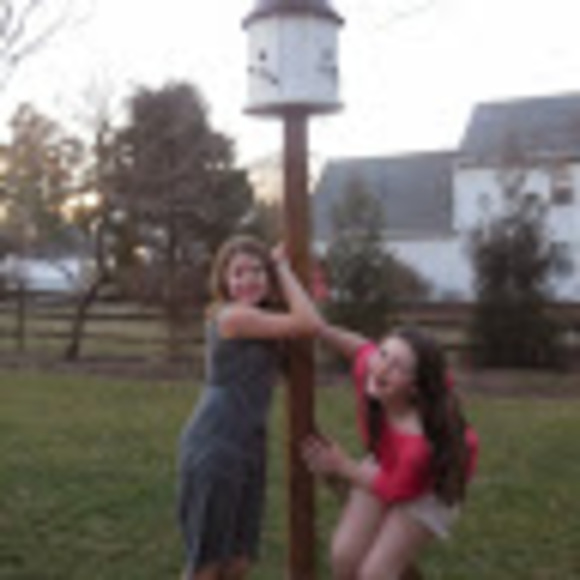 Meet your Posher, Phoebe - Picture 1 of 1